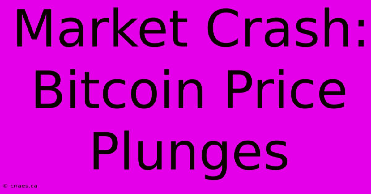 Market Crash: Bitcoin Price Plunges