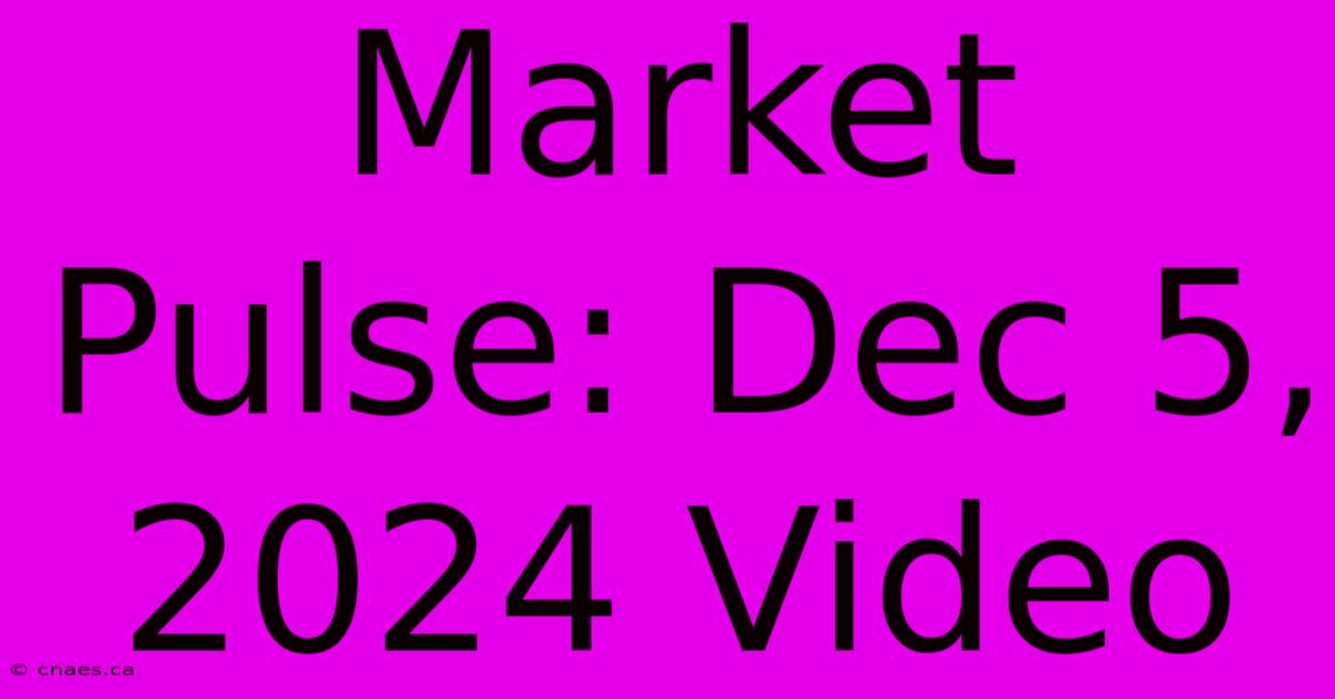 Market Pulse: Dec 5, 2024 Video