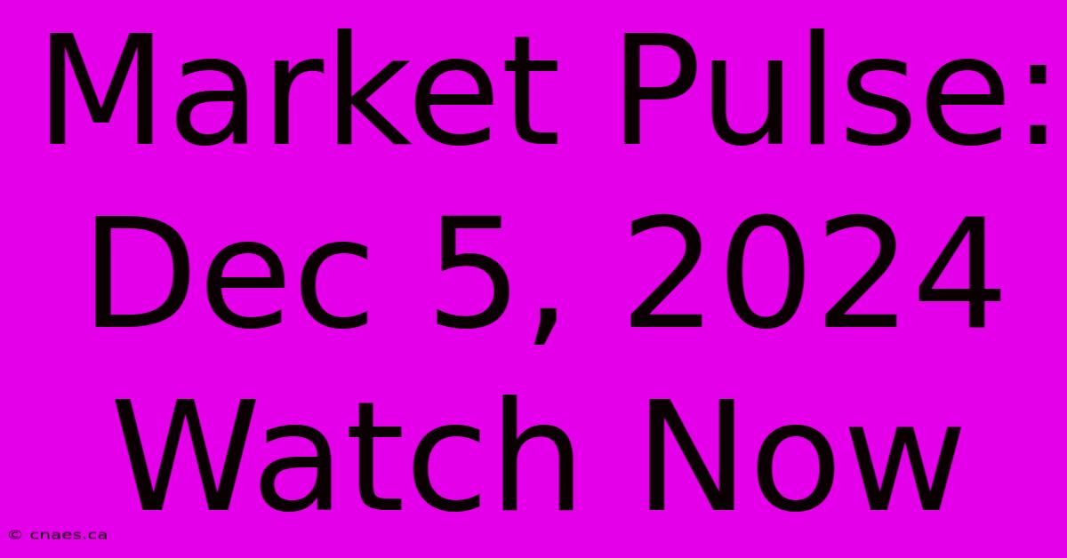 Market Pulse: Dec 5, 2024 Watch Now