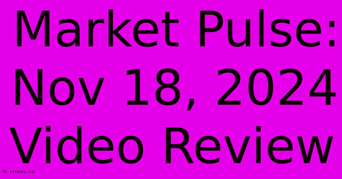 Market Pulse: Nov 18, 2024 Video Review