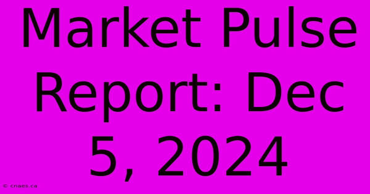 Market Pulse Report: Dec 5, 2024