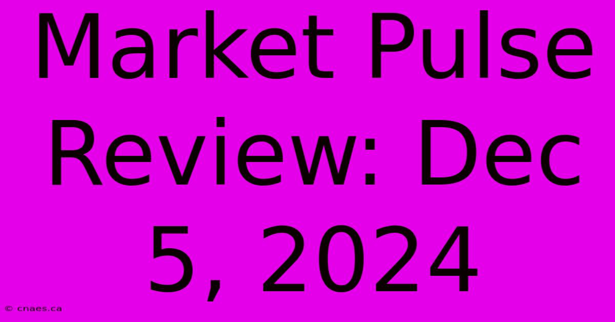 Market Pulse Review: Dec 5, 2024