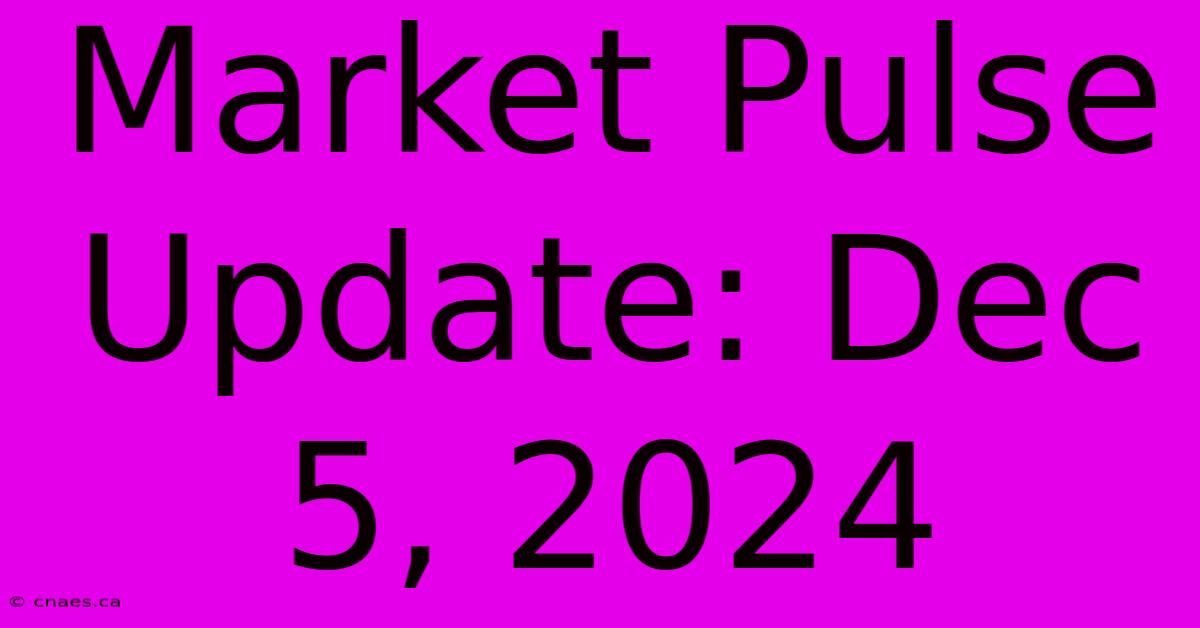 Market Pulse Update: Dec 5, 2024