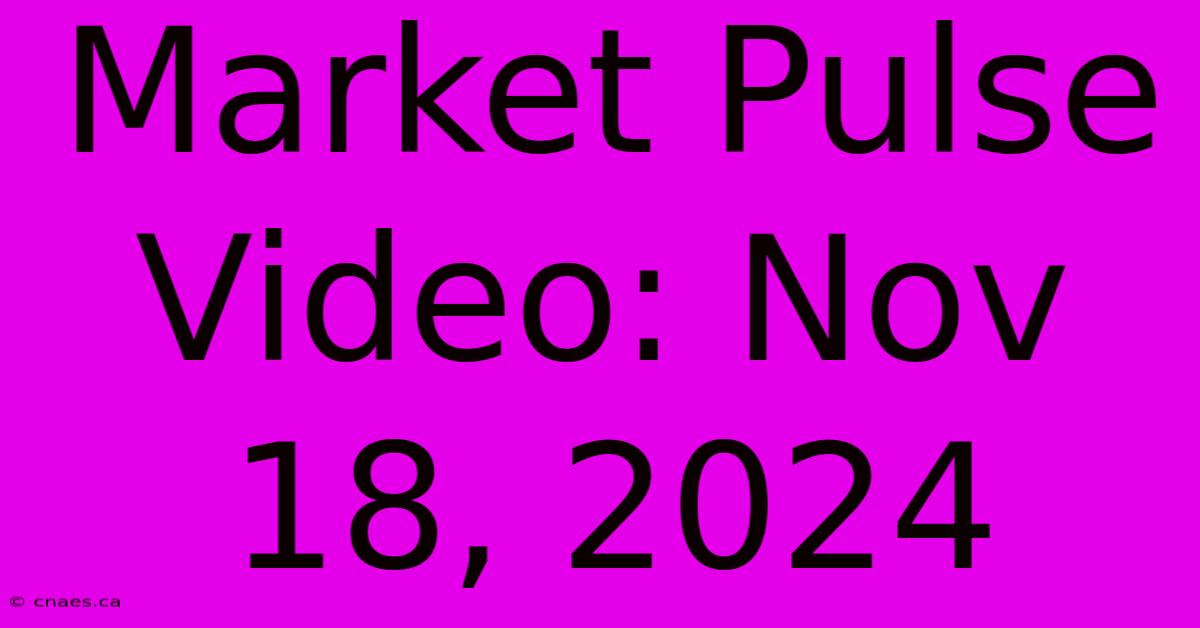 Market Pulse Video: Nov 18, 2024