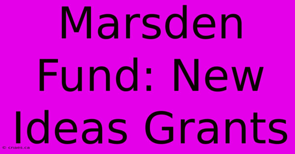 Marsden Fund: New Ideas Grants