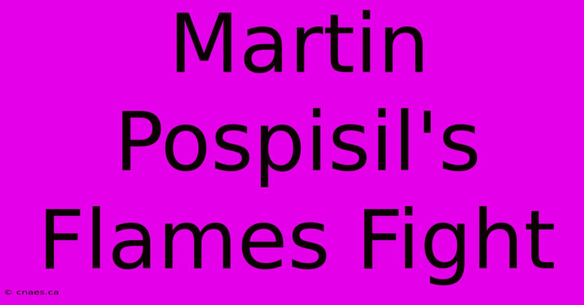 Martin Pospisil's Flames Fight