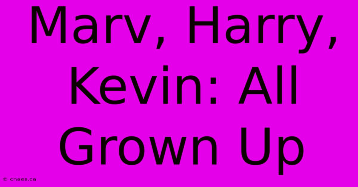 Marv, Harry, Kevin: All Grown Up