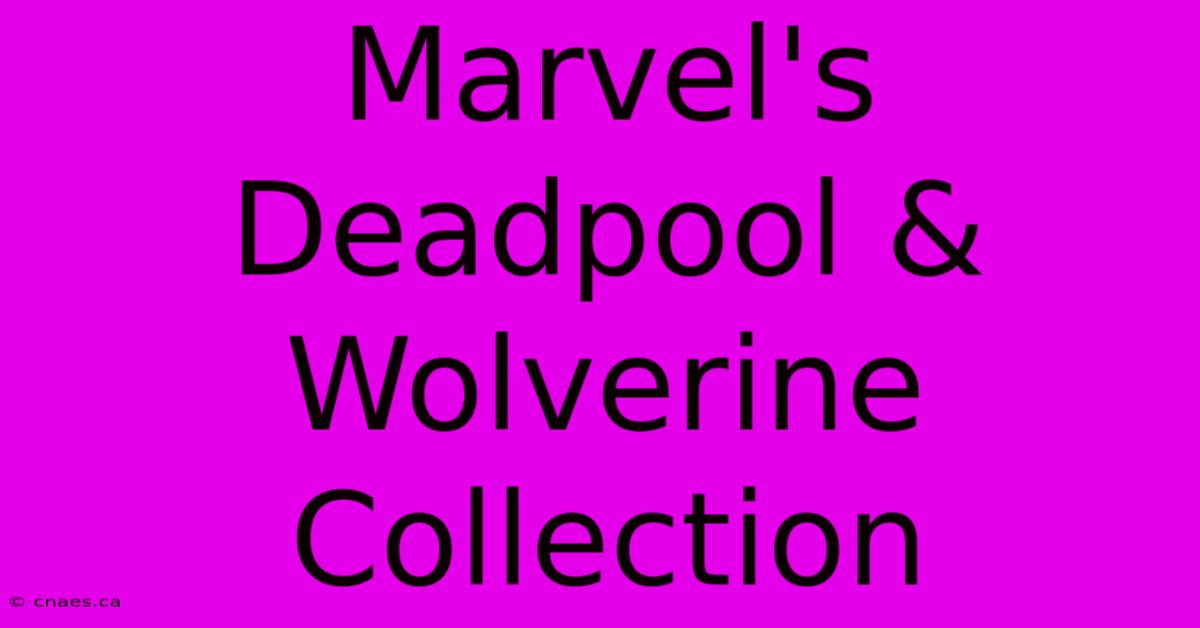 Marvel's Deadpool & Wolverine Collection 