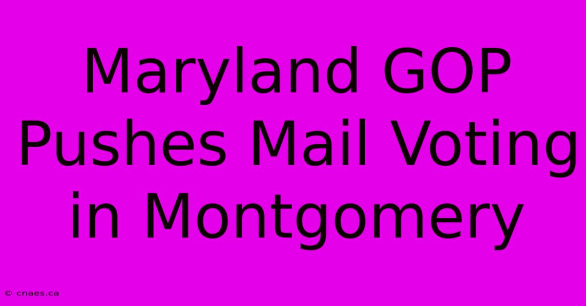 Maryland GOP Pushes Mail Voting In Montgomery