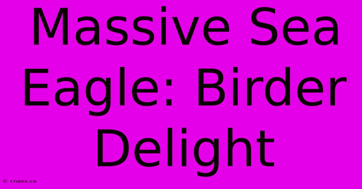 Massive Sea Eagle: Birder Delight