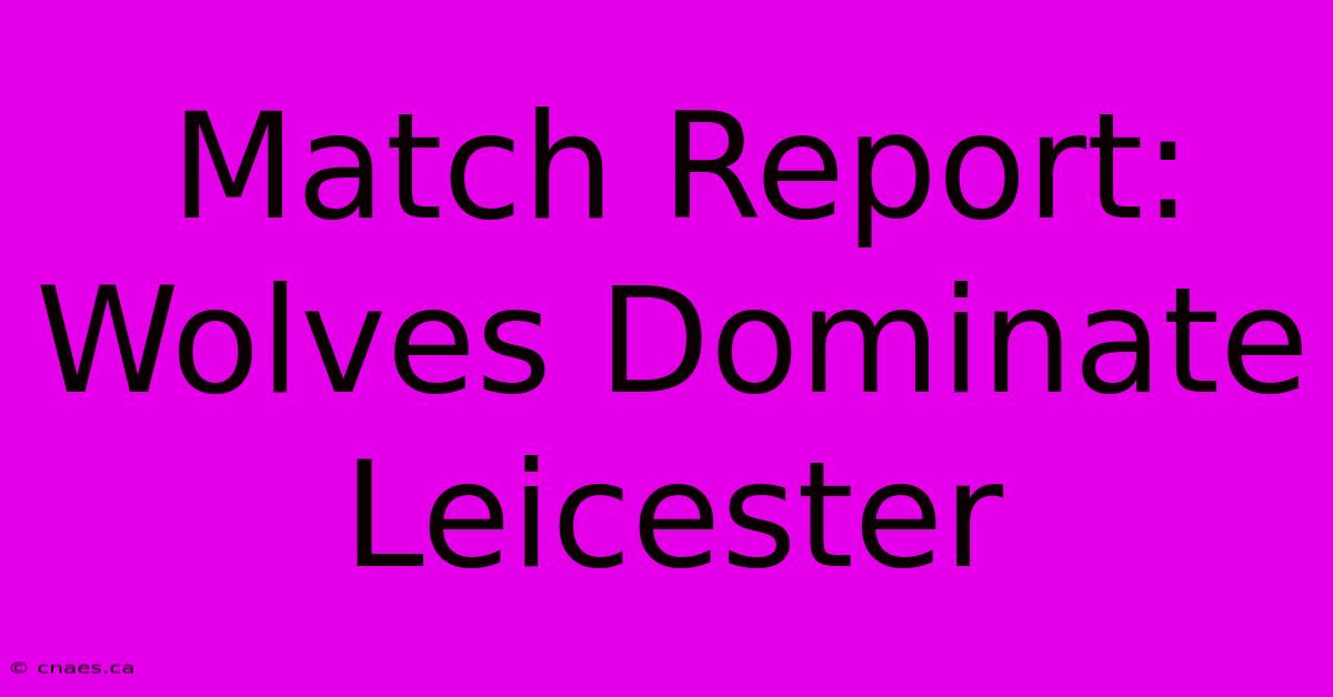 Match Report: Wolves Dominate Leicester