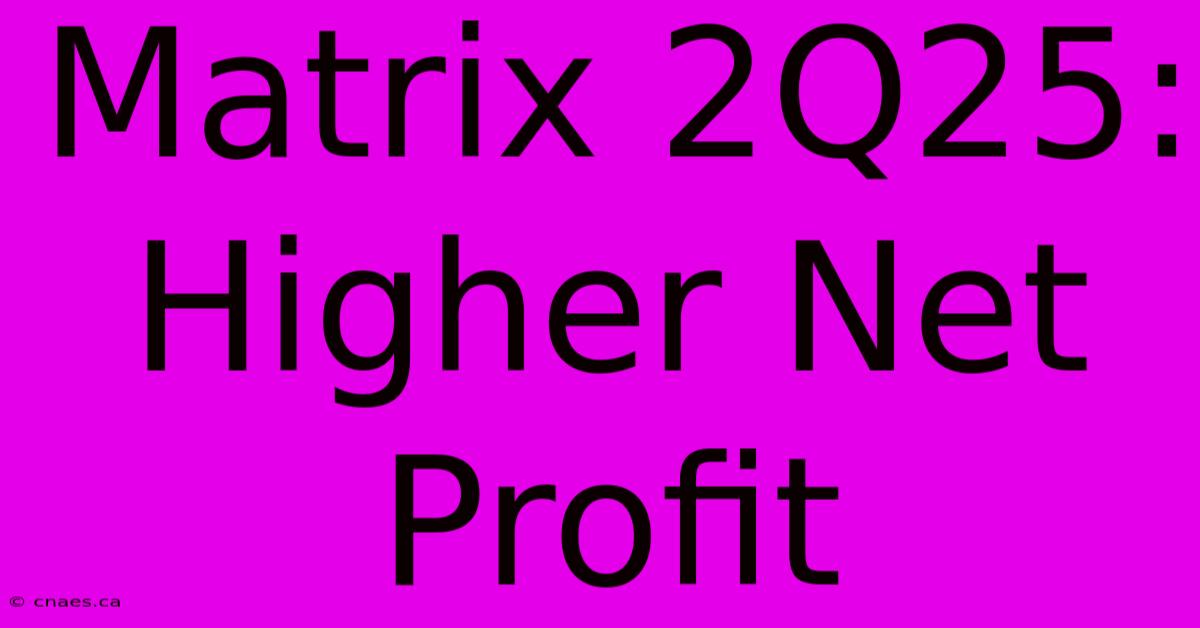 Matrix 2Q25: Higher Net Profit