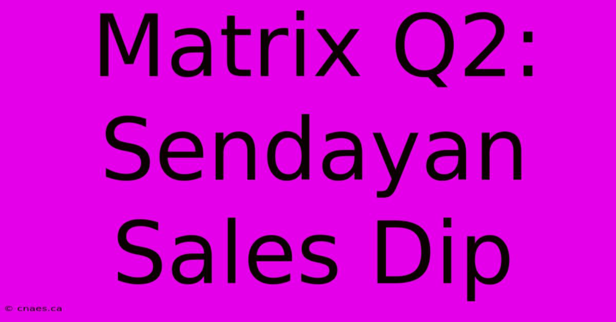 Matrix Q2: Sendayan Sales Dip