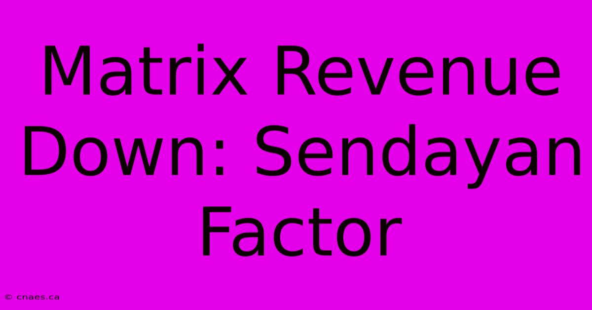 Matrix Revenue Down: Sendayan Factor