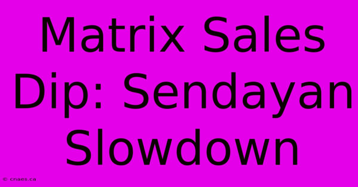 Matrix Sales Dip: Sendayan Slowdown