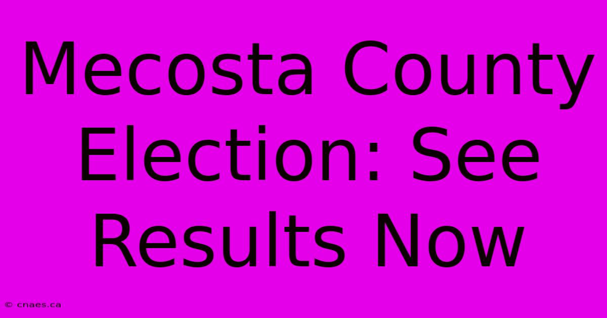 Mecosta County Election: See Results Now 