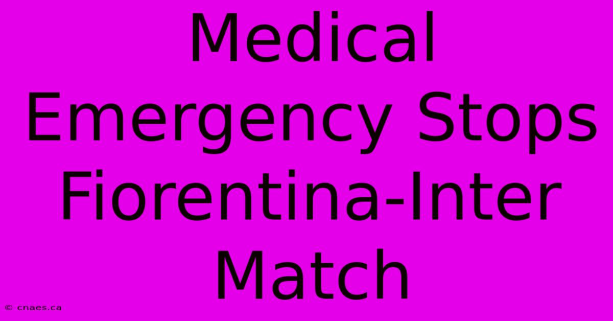 Medical Emergency Stops Fiorentina-Inter Match