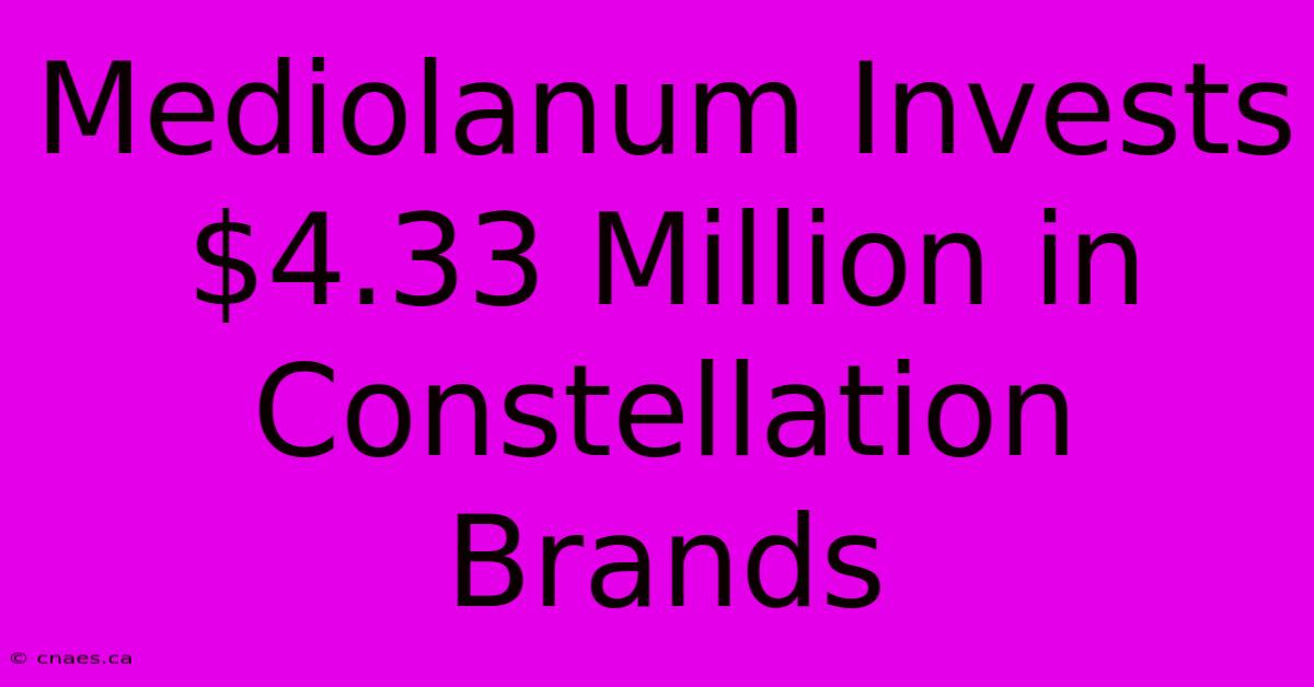 Mediolanum Invests $4.33 Million In Constellation Brands