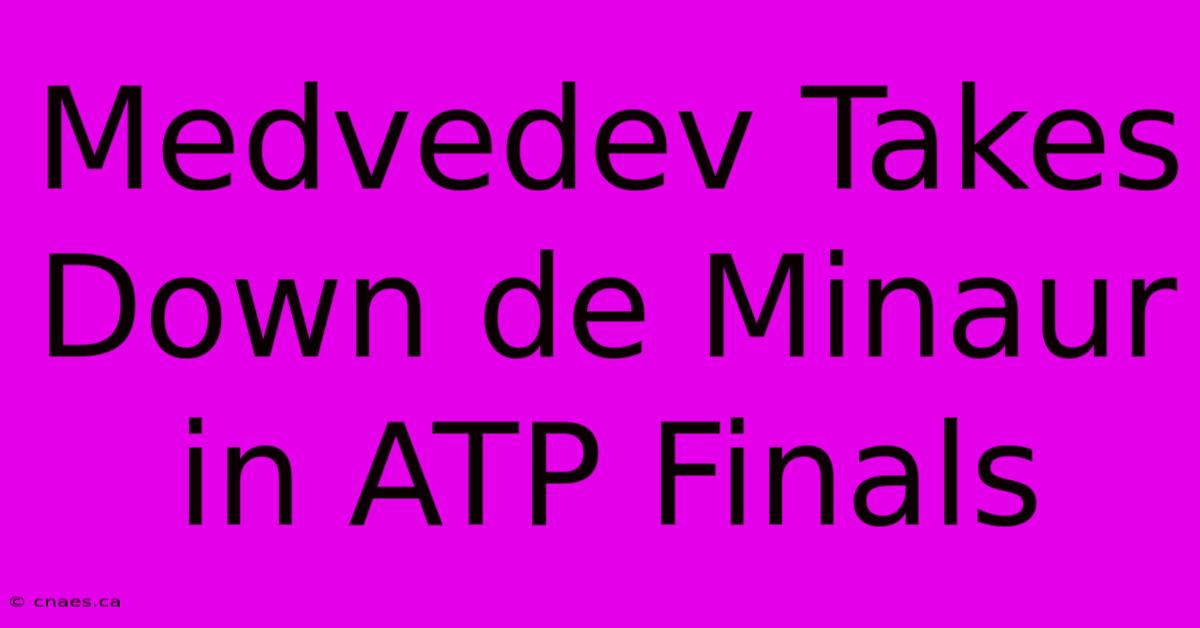 Medvedev Takes Down De Minaur In ATP Finals