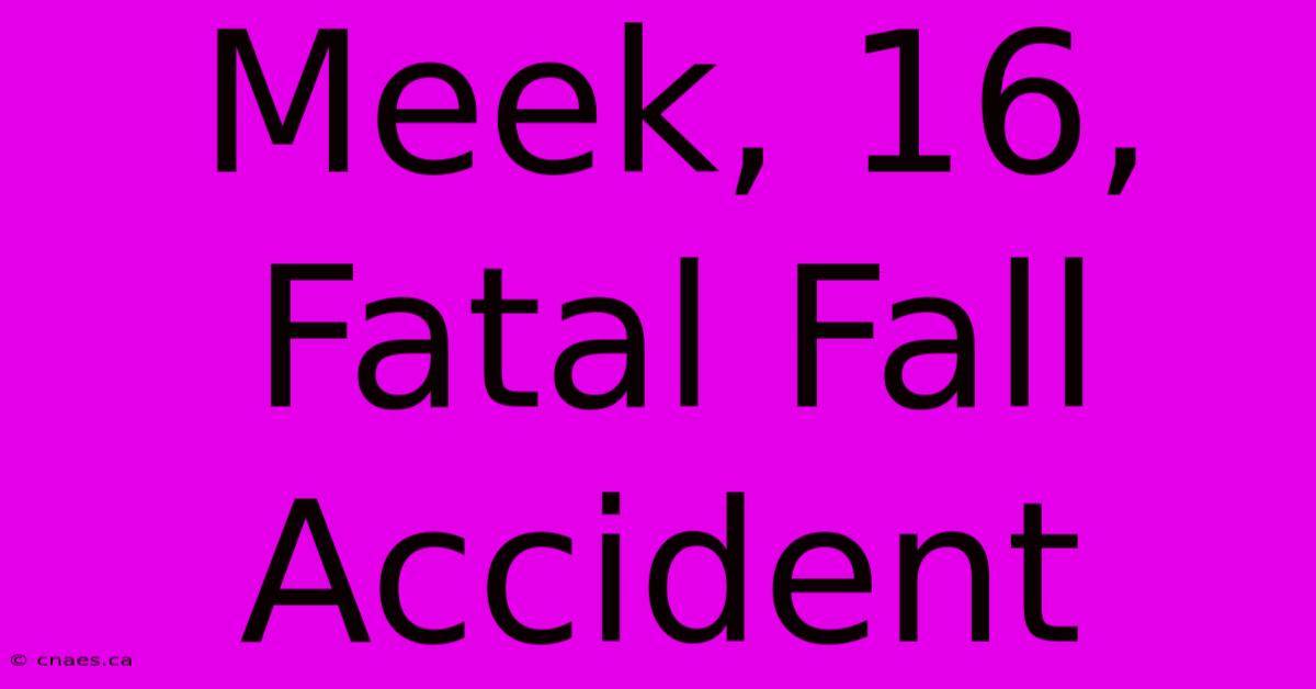 Meek, 16, Fatal Fall Accident