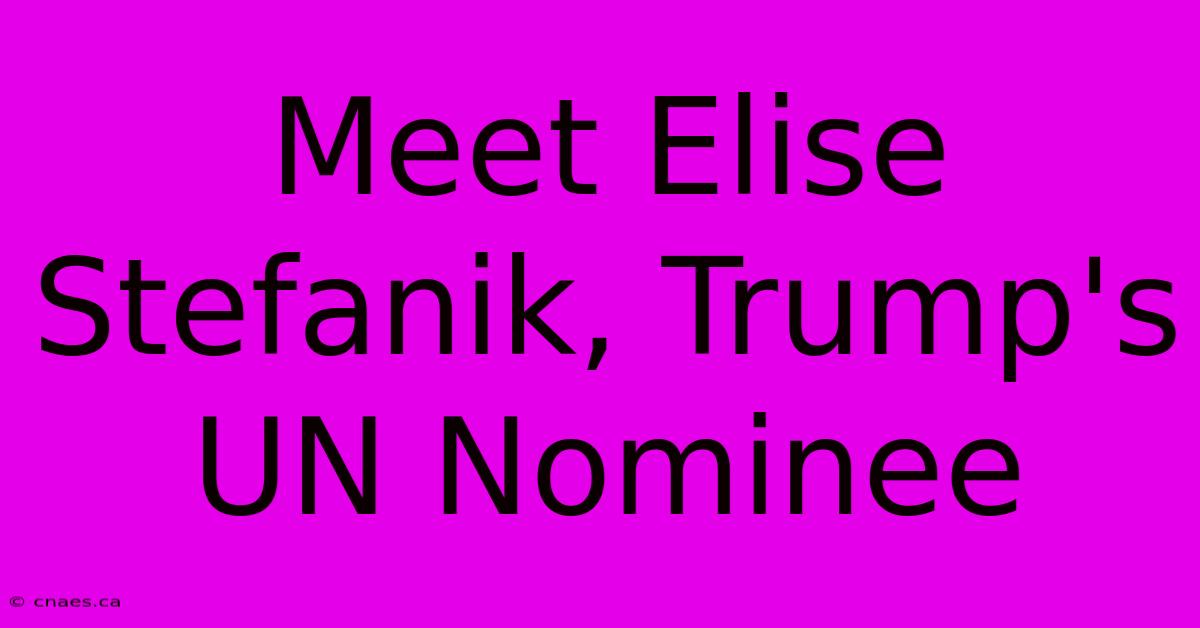 Meet Elise Stefanik, Trump's UN Nominee