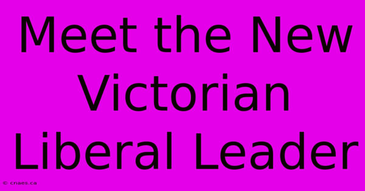 Meet The New Victorian Liberal Leader