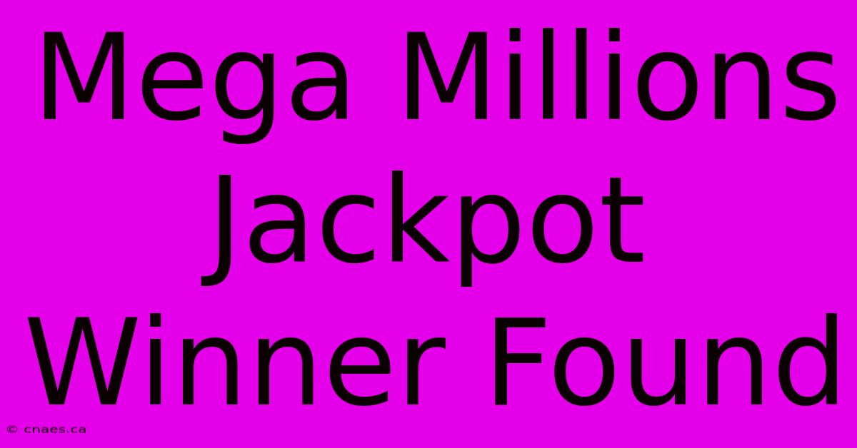 Mega Millions Jackpot Winner Found