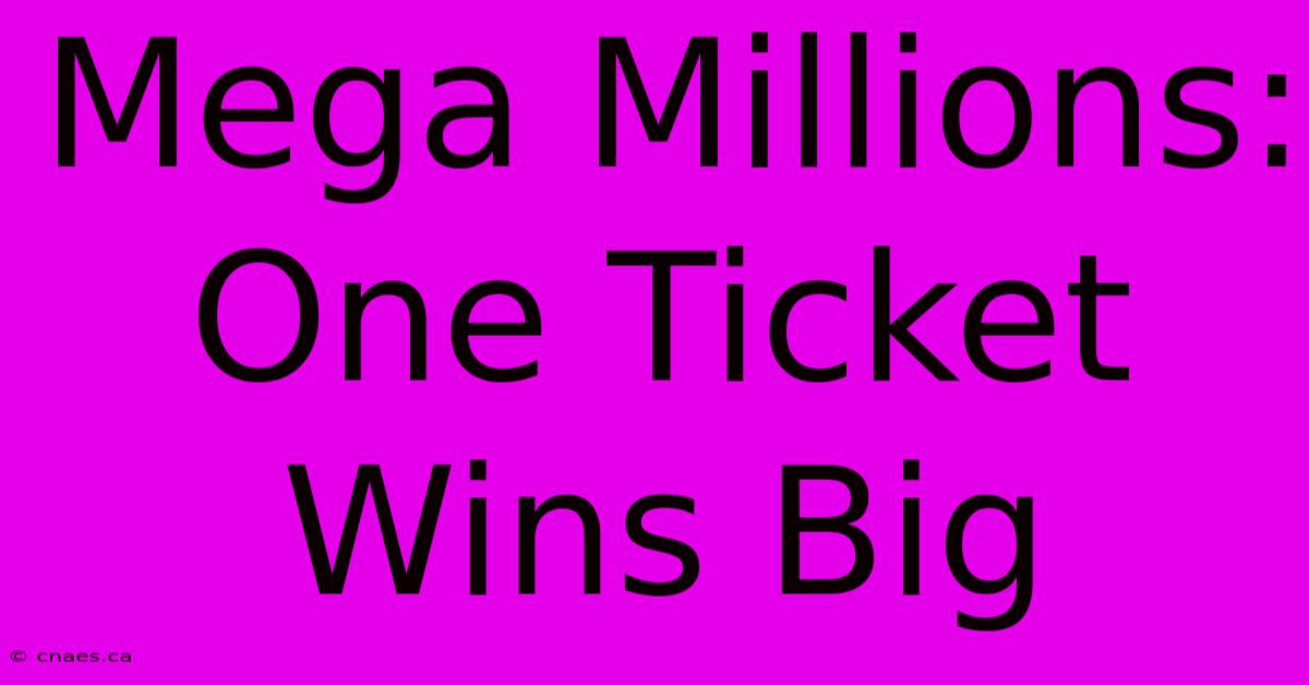 Mega Millions: One Ticket Wins Big