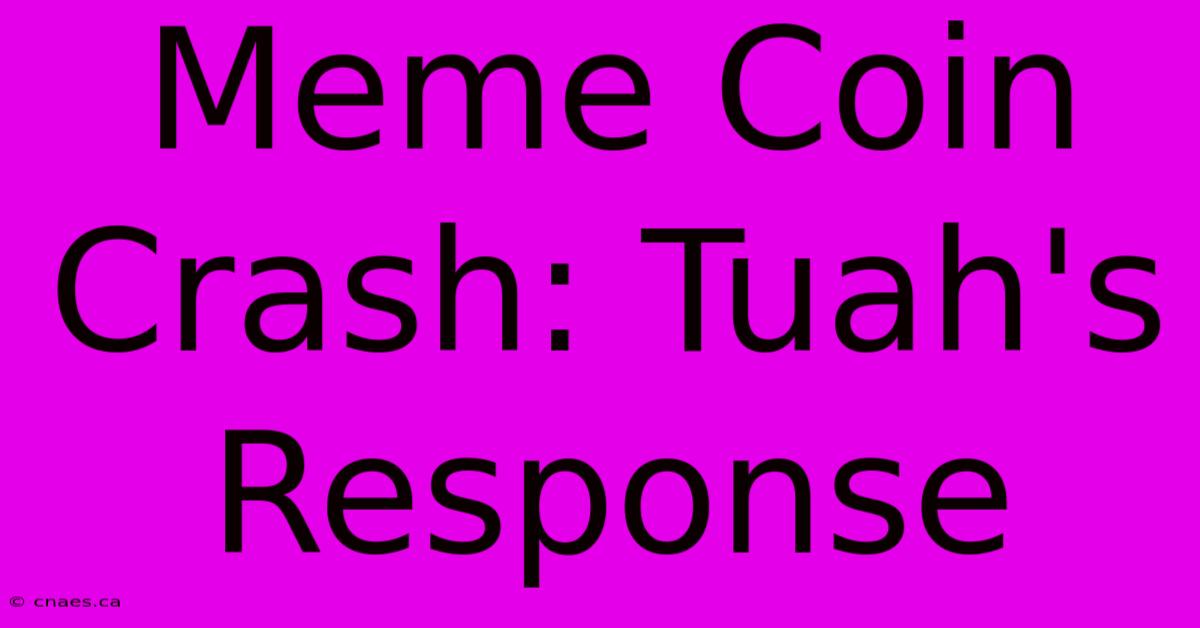 Meme Coin Crash: Tuah's Response