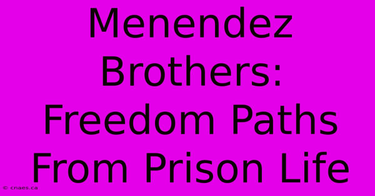 Menendez Brothers: Freedom Paths From Prison Life