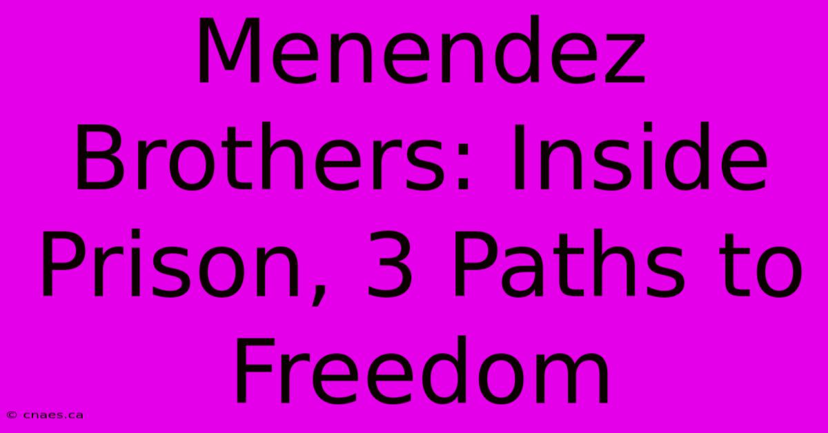 Menendez Brothers: Inside Prison, 3 Paths To Freedom 