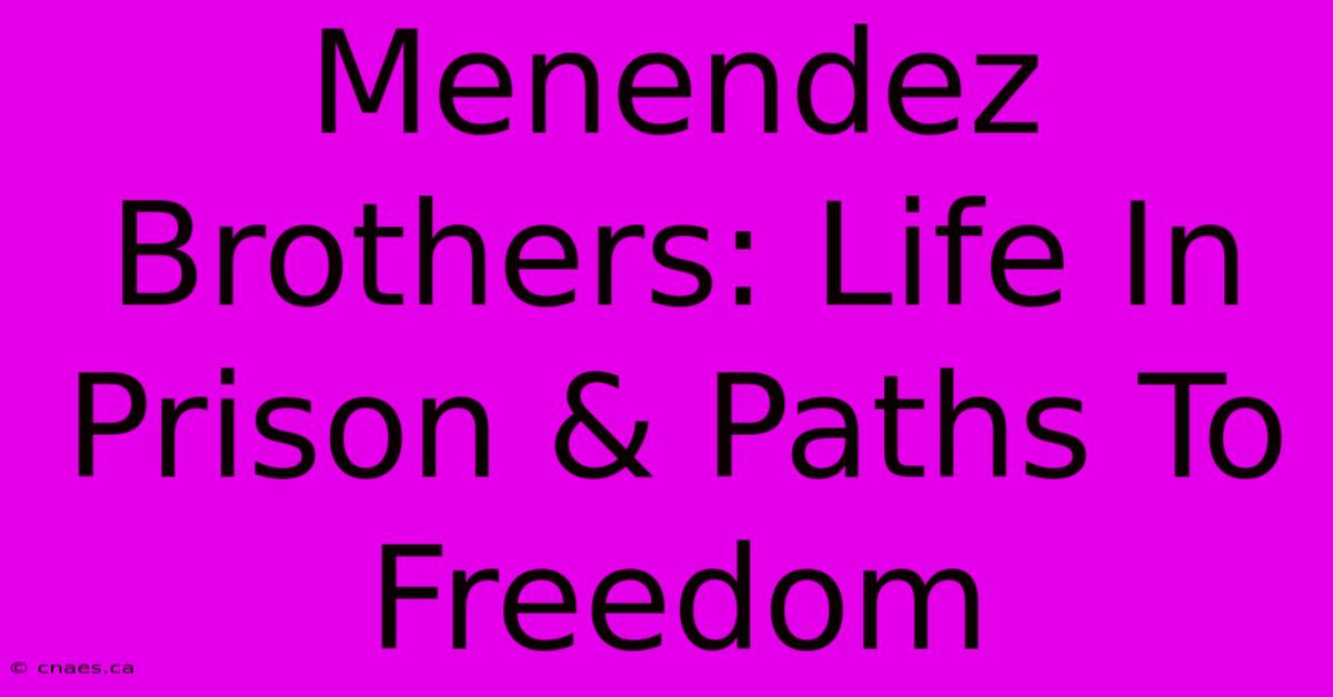 Menendez Brothers: Life In Prison & Paths To Freedom