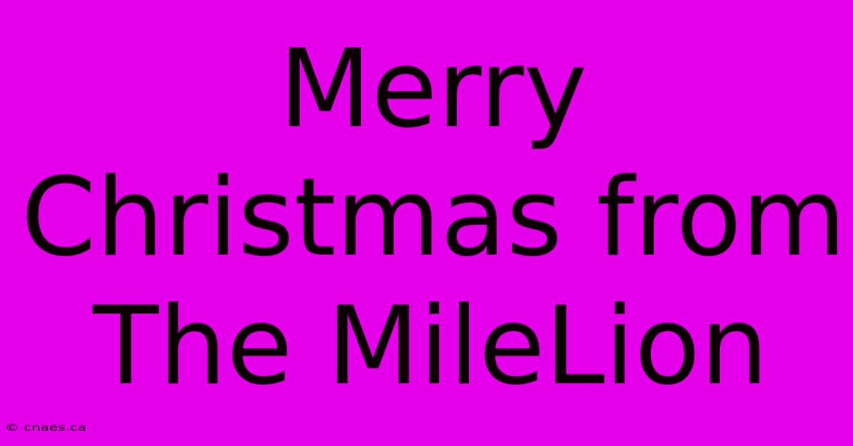 Merry Christmas From The MileLion