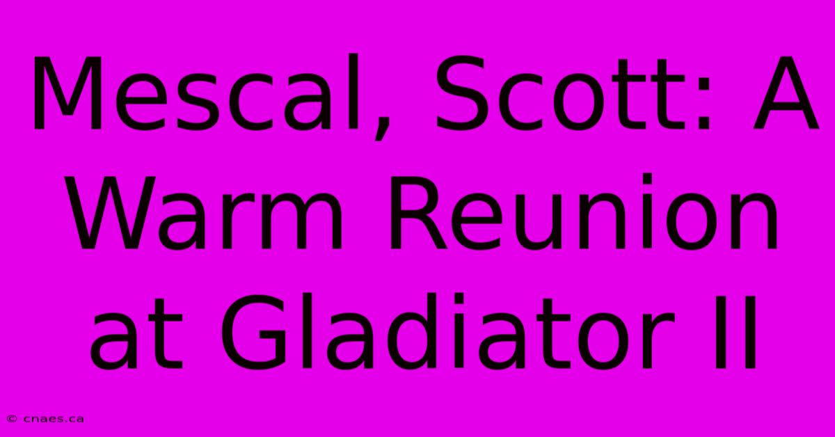 Mescal, Scott: A Warm Reunion At Gladiator II 