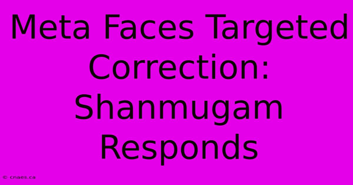 Meta Faces Targeted Correction: Shanmugam Responds