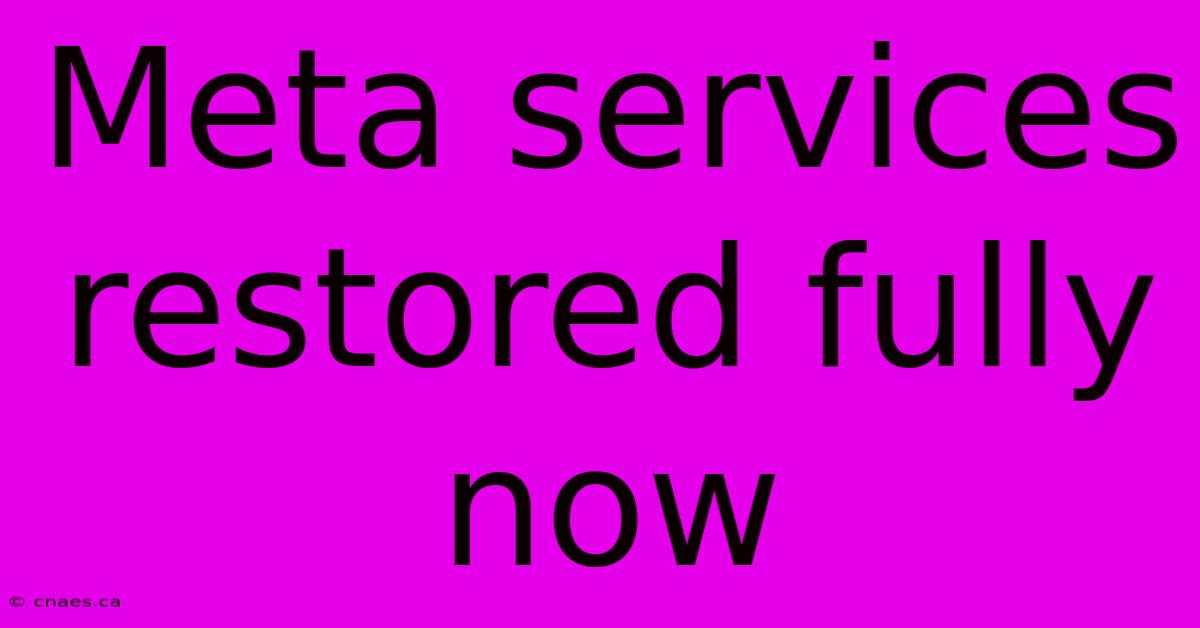 Meta Services Restored Fully Now