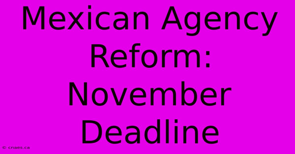 Mexican Agency Reform: November Deadline