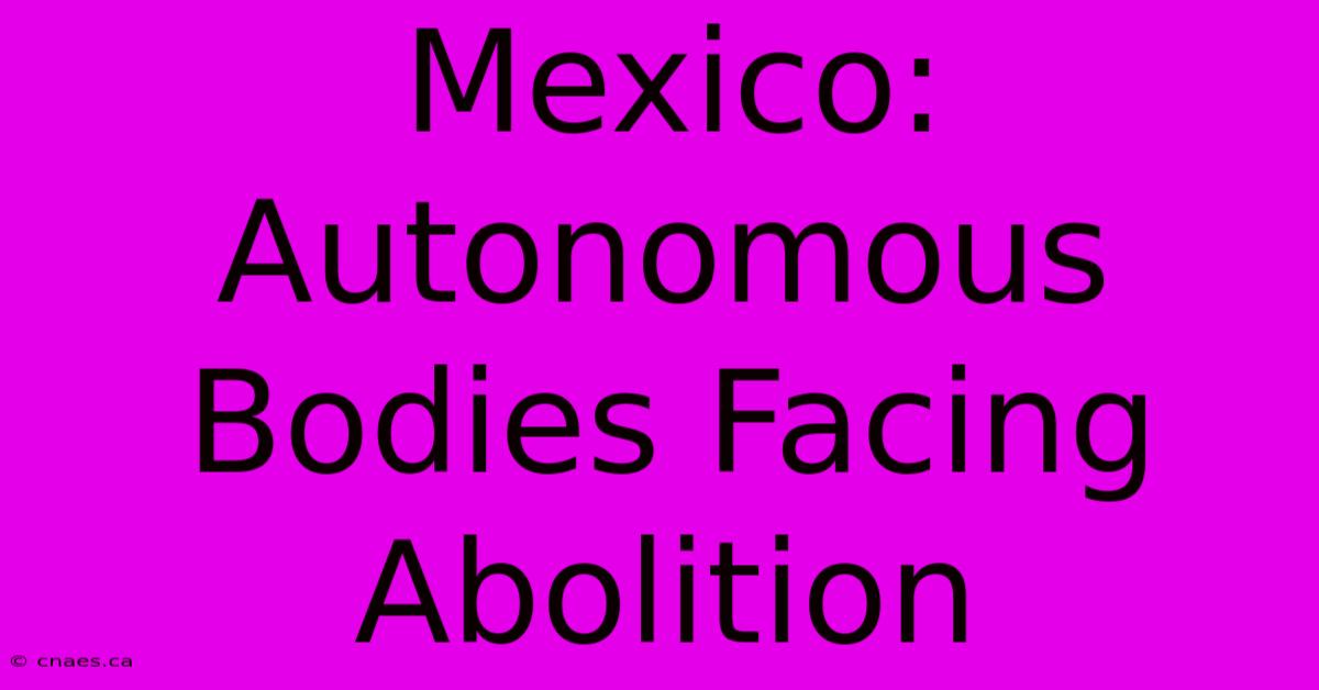 Mexico: Autonomous Bodies Facing Abolition 