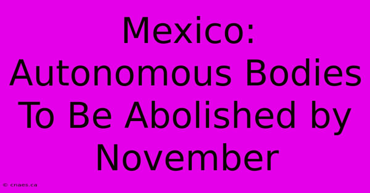 Mexico: Autonomous Bodies To Be Abolished By November