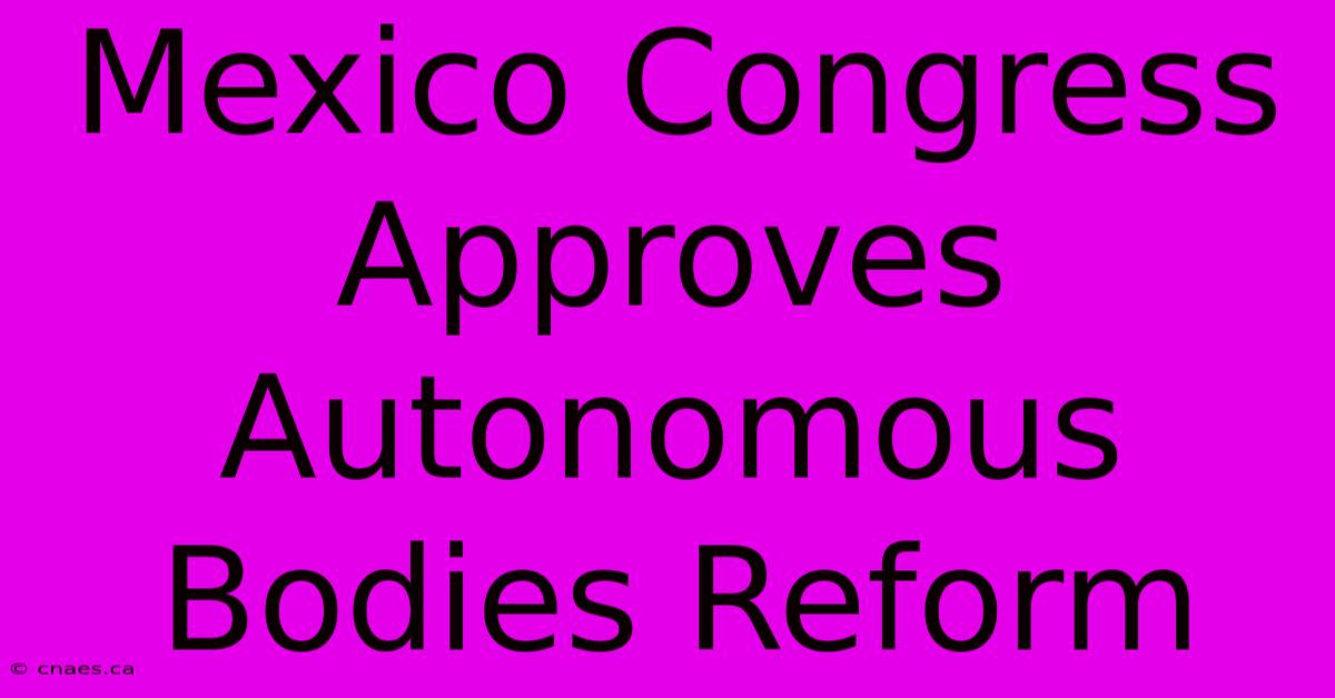 Mexico Congress Approves Autonomous Bodies Reform 