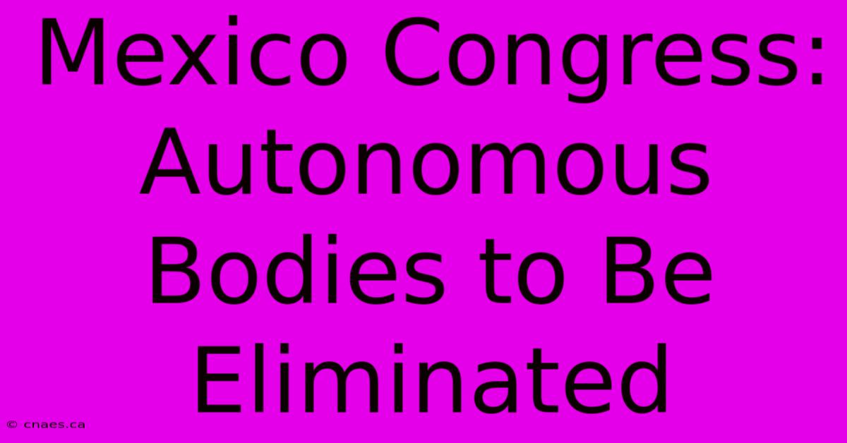 Mexico Congress: Autonomous Bodies To Be Eliminated