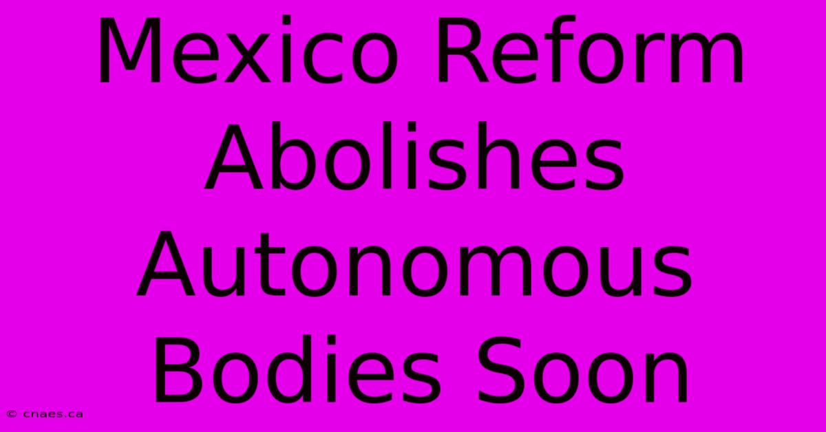 Mexico Reform Abolishes Autonomous Bodies Soon