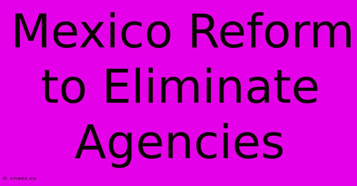 Mexico Reform To Eliminate Agencies