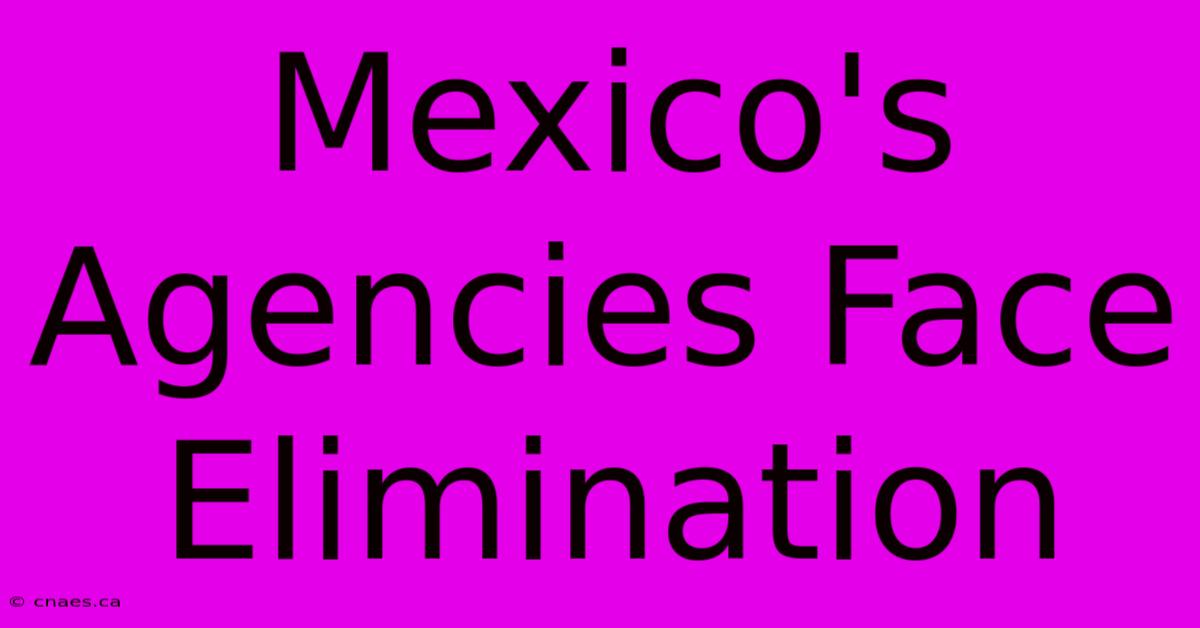 Mexico's Agencies Face Elimination