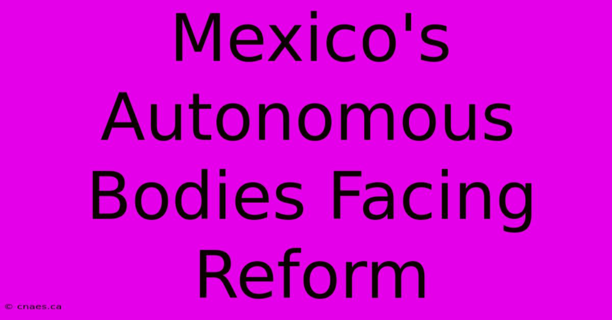 Mexico's Autonomous Bodies Facing Reform