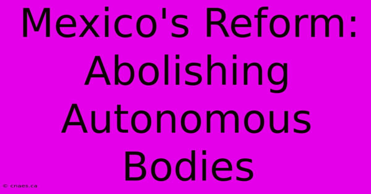 Mexico's Reform: Abolishing Autonomous Bodies 