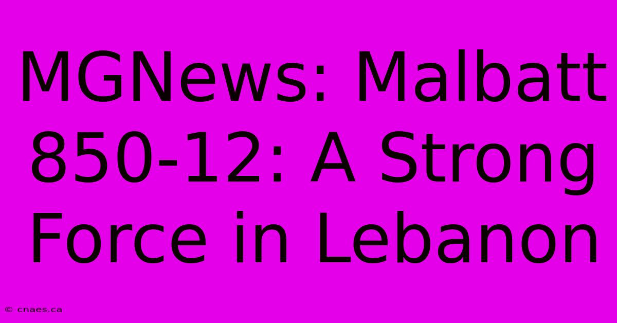 MGNews: Malbatt 850-12: A Strong Force In Lebanon