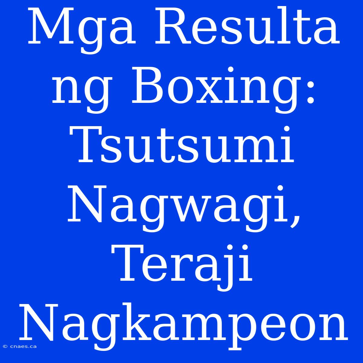 Mga Resulta Ng Boxing: Tsutsumi Nagwagi, Teraji Nagkampeon