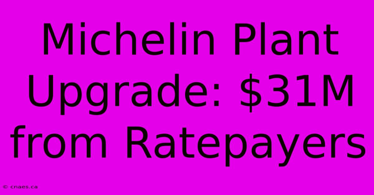 Michelin Plant Upgrade: $31M From Ratepayers