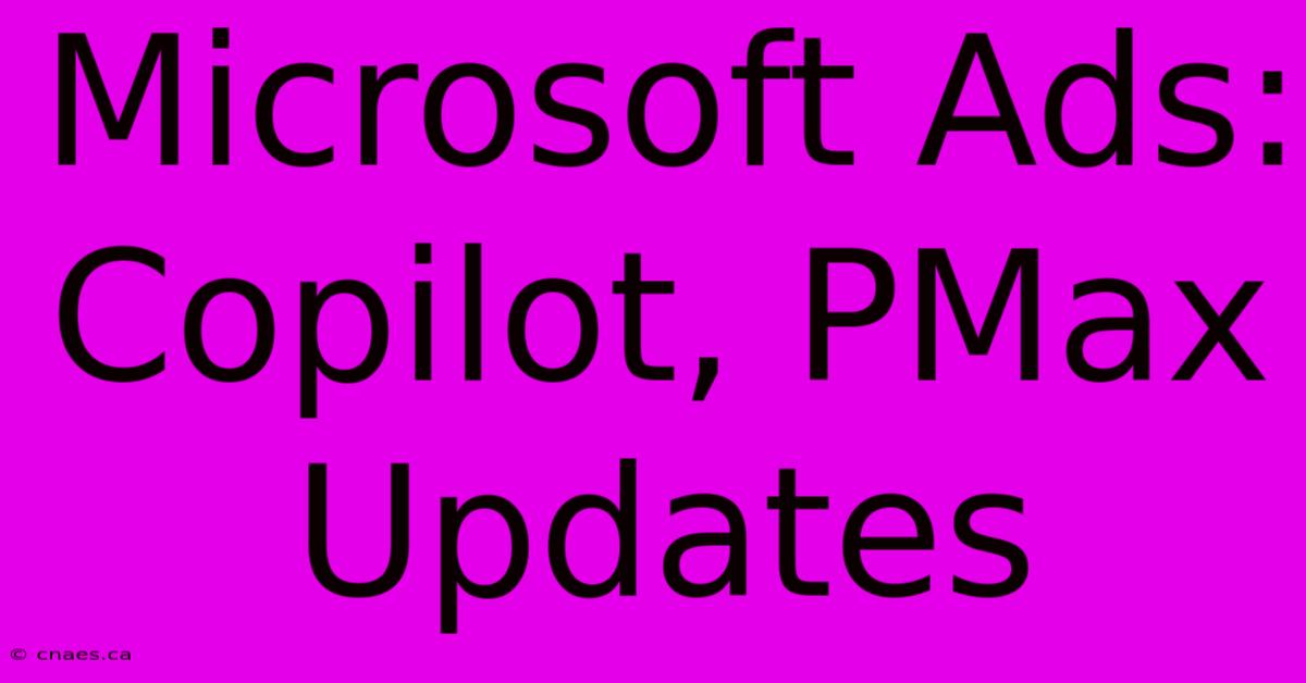 Microsoft Ads: Copilot, PMax Updates